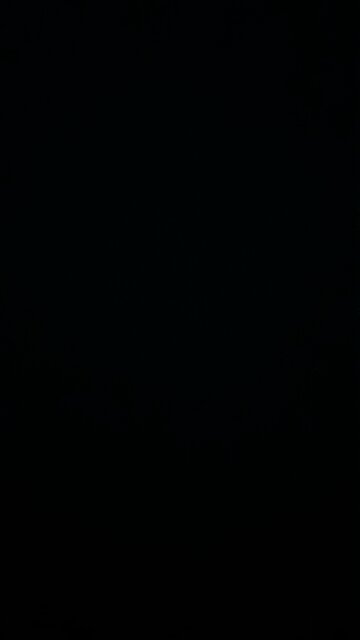 Trump border security