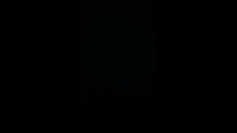 Trump border security