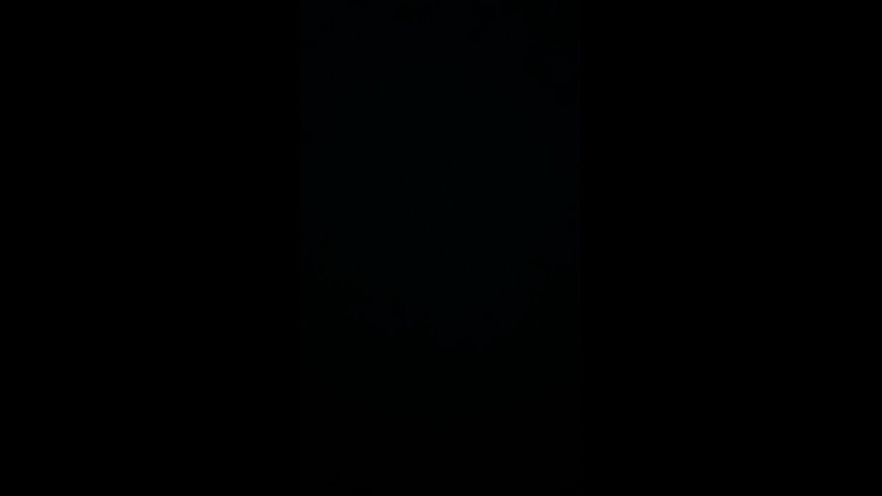 Trump border security