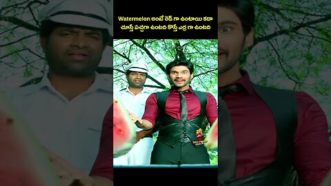 Watermelon అంటే రెడ్ గా ఉంటాయి కదా చూస్తే పచ్చగా ఉంటది కొస్తే ఎర్ర గా ఉంటది