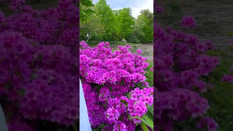 Halifax Public Gardens walk through compilation