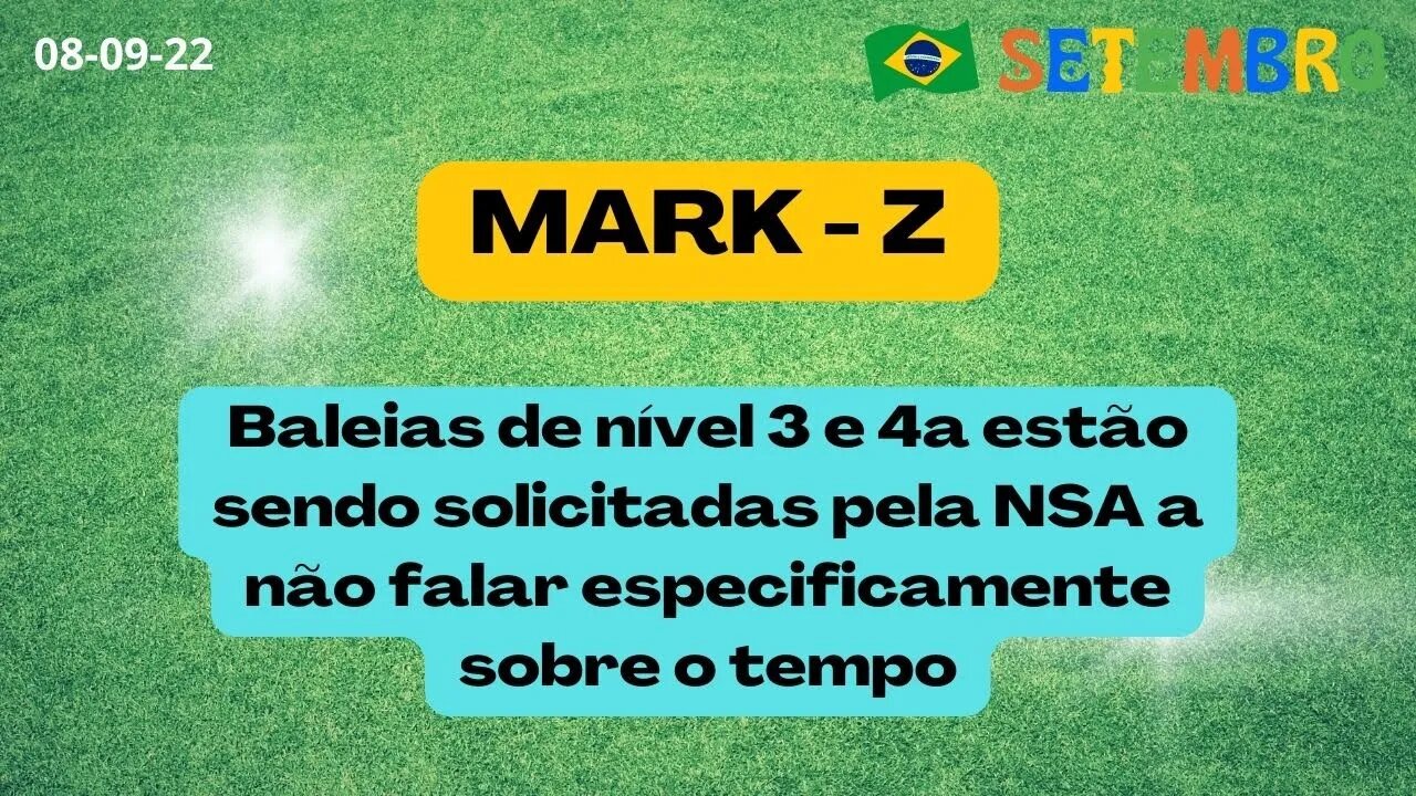 MARK Z Baleias de Nível 3 e 4a estão sendo solicitadas pela NSA a não falar