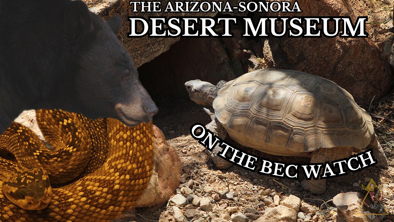 BEC Watch Entries: #25 Arizona-Sonora Desert Museum