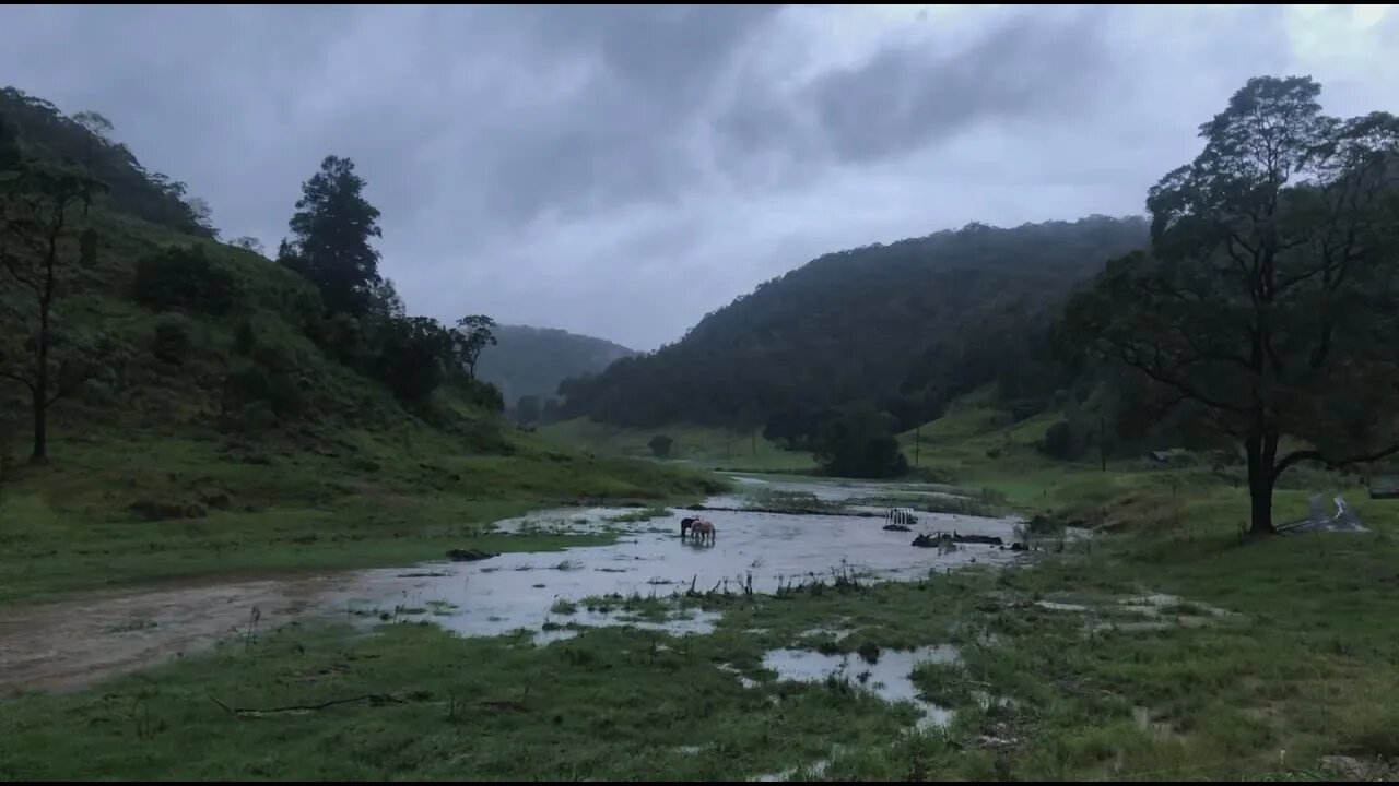 Our water levels have dropped despite constant rain. People are trying to drop off supplies today