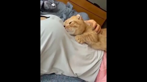 New Farlight 84 Syfer شخصية اصبحت خارقة