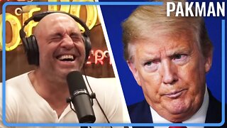 Joe Rogan Calls Trump a Drugged-Out Man Baby