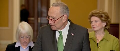 ‘How Is It Functional?’: Reporter Grills Schumer On 4,000+