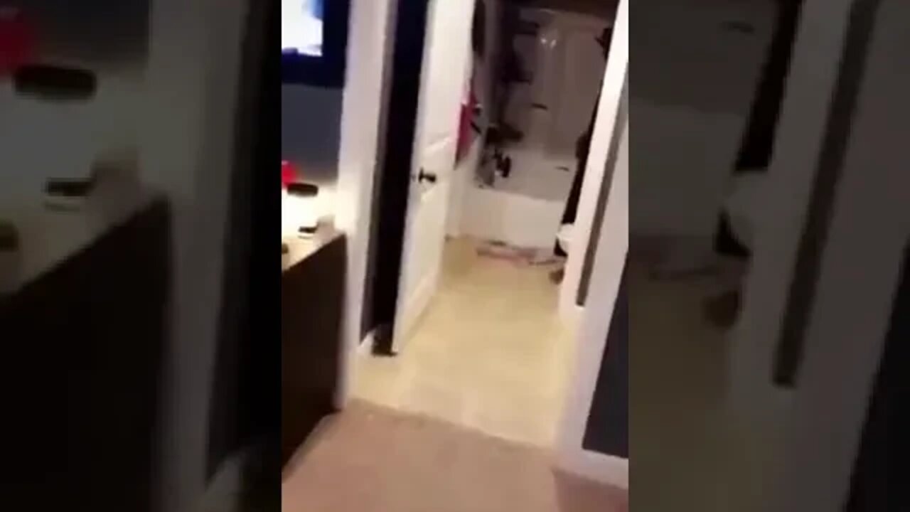 Cat runs right into the bathtub I TikTok