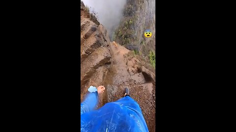 Would you like to go for a walk?