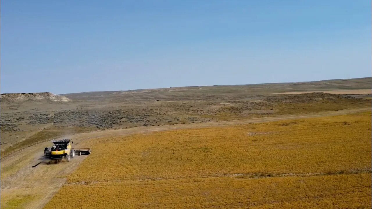 DAY 49 / 2022 Wheat Harvest / August 3 (Jordan, Montana)