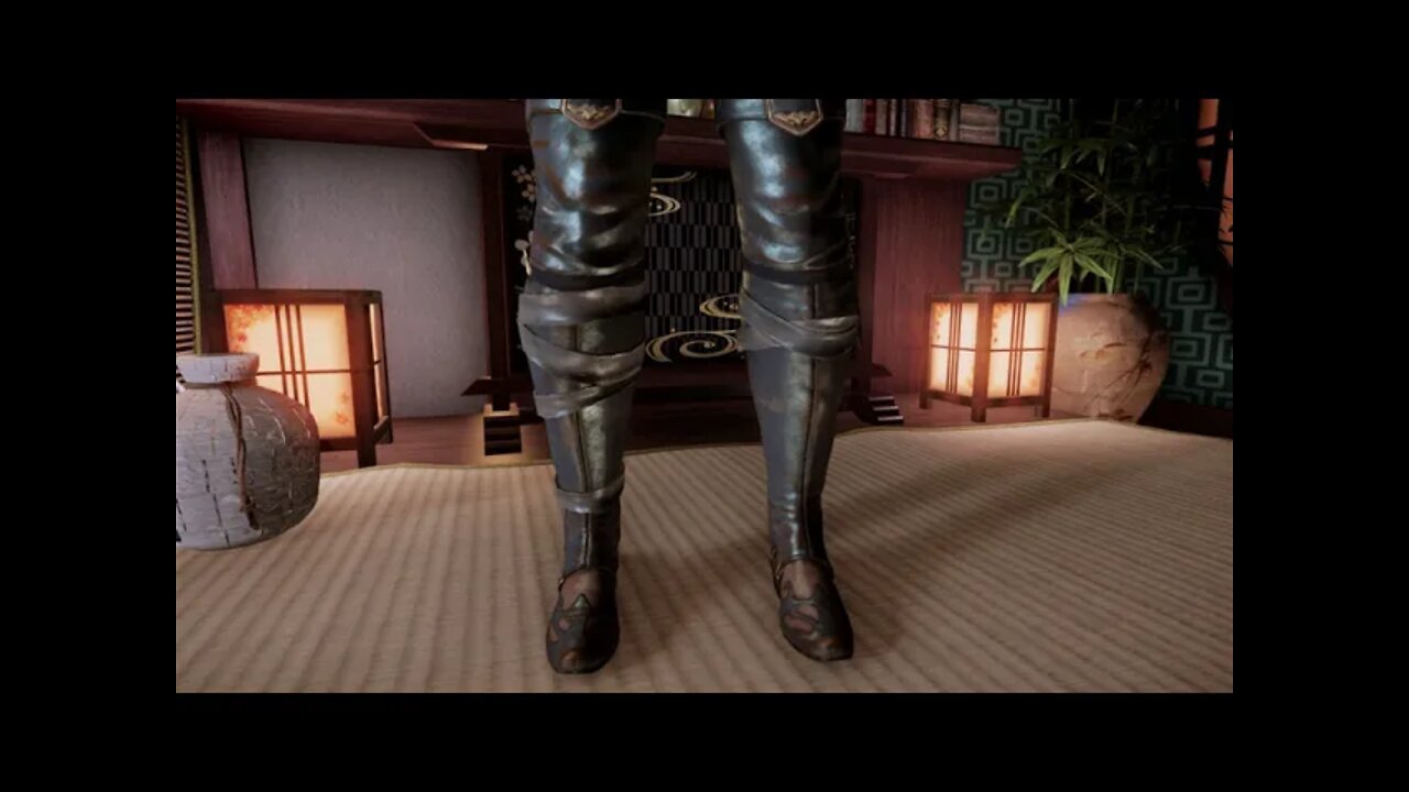 Skyrim Paragon Sparrow Rogue CBBE/BHUNP Physics SE (UPDATE)