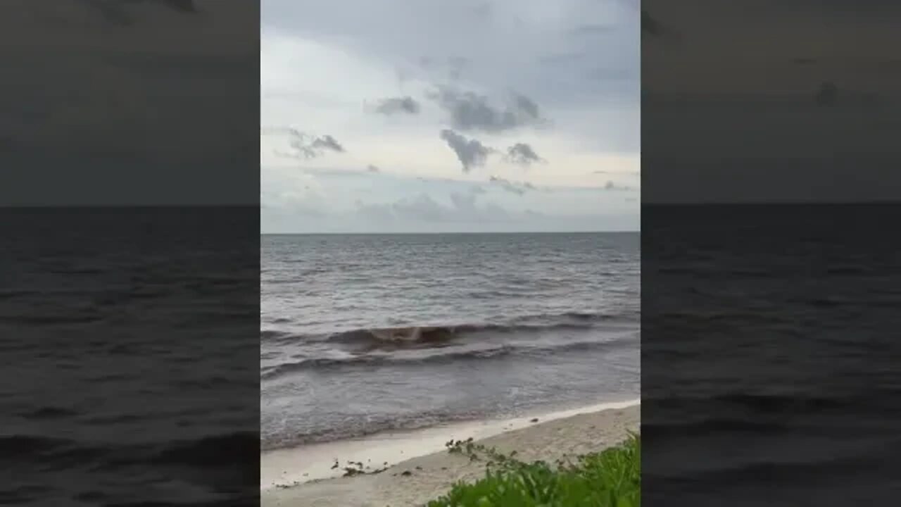 Windy sea shore at Cancun Mexico on a cloudy evening.