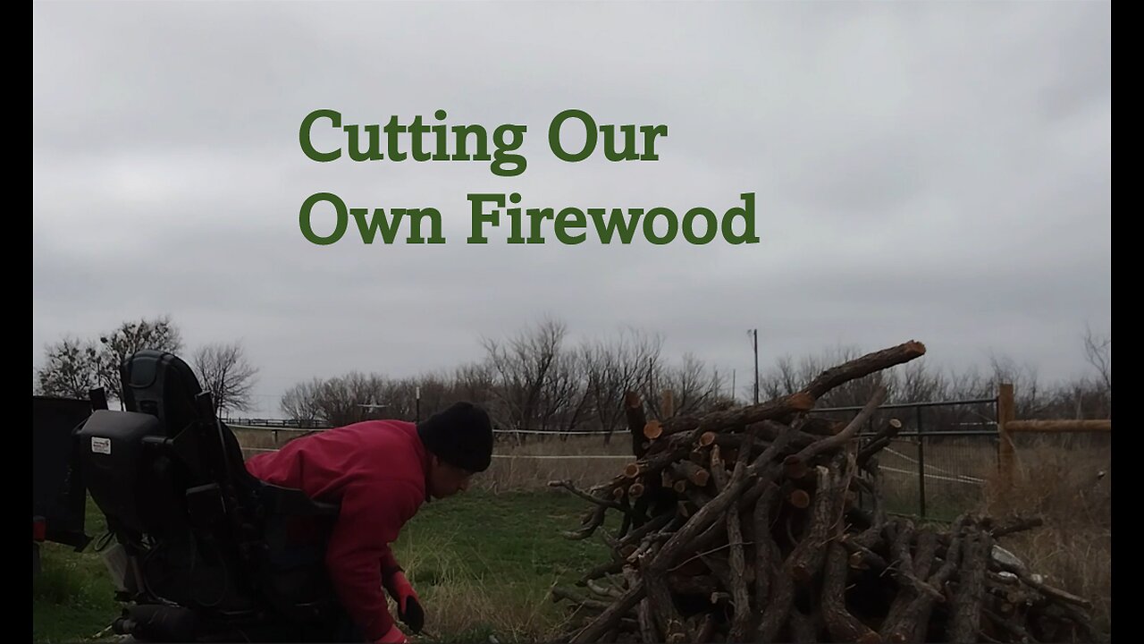 Cutting Our Own Firewood. Power Outage? What are Your Plans?