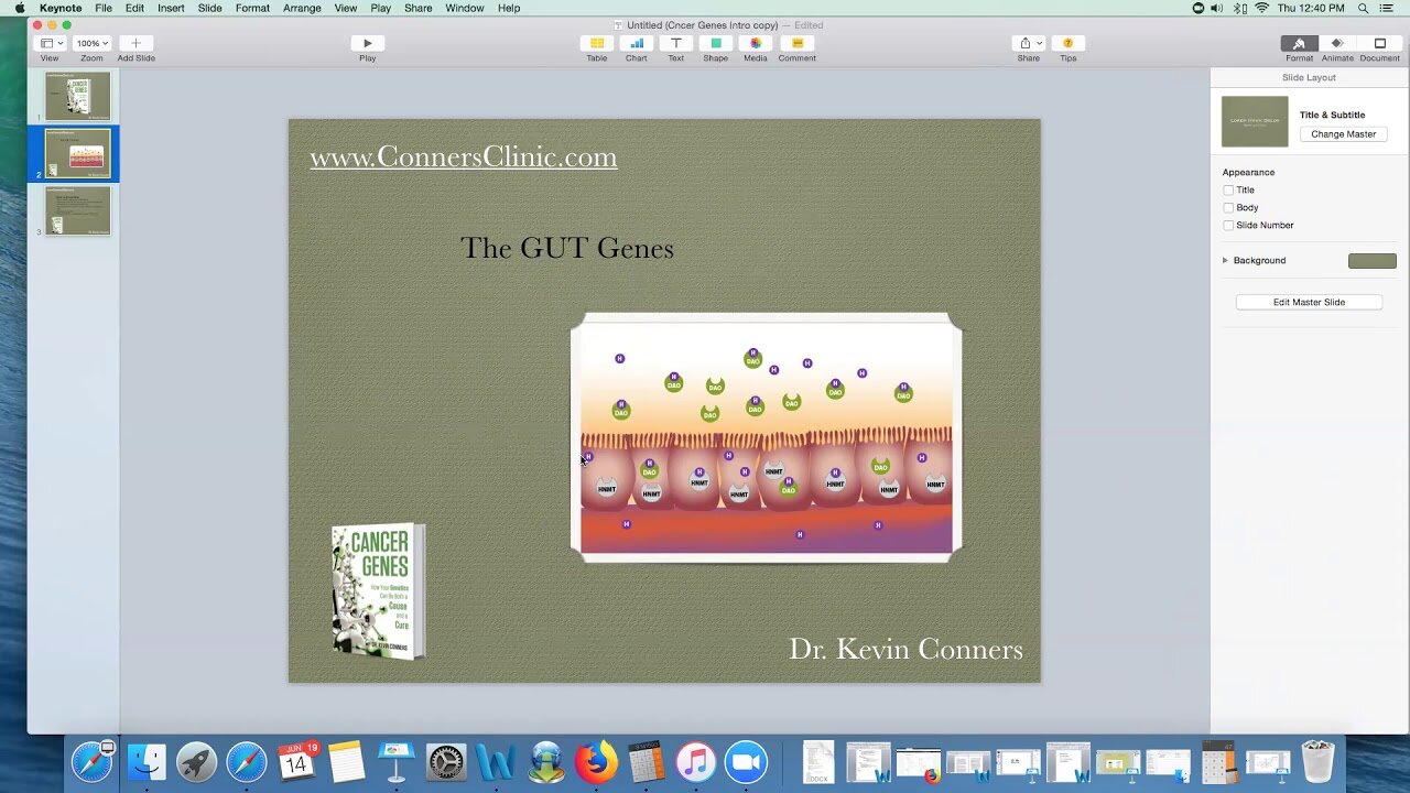 Cancer Genes Section 1 - Gut Health | Dr. Kevin Conners - Conners Clinic