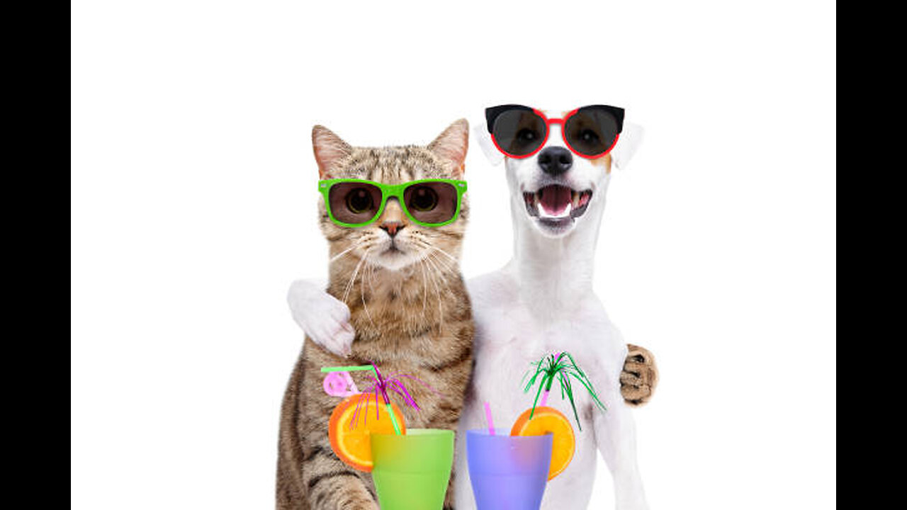 Funniest Animals 2023 😂 Funny Cats and Dogs Videos 😺🐶 Part 1