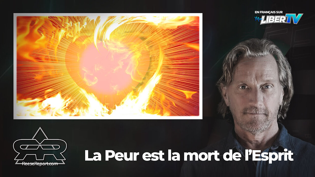 La peur est la petite mort de l'esprit | The Reese Report