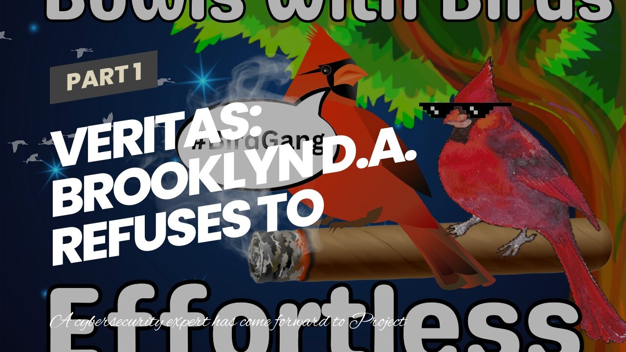 Veritas: Brooklyn D.A. Refuses To Press Charges After Self-Admitted Child Porn Solicitor Identi...