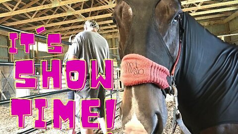 It's Show Time! And Our Barn Is Almost Done!