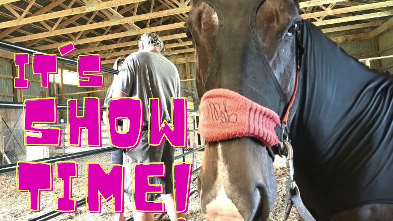 It's Show Time! And Our Barn Is Almost Done!