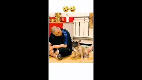 My dog funny reaction soo cute I love my dog || it is sóo funny 😂😂 #viral #rumblecreator #dog