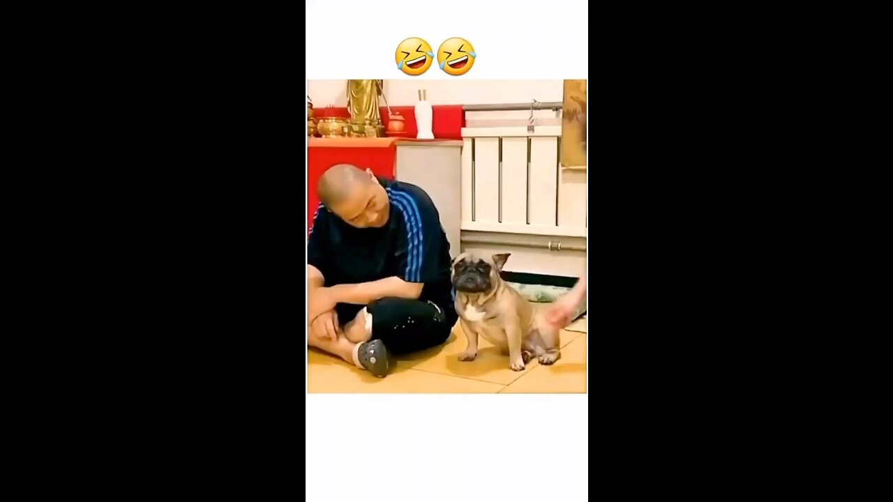 My dog funny reaction soo cute I love my dog || it is sรณo funny ๐๐ #viral #rumblecreator #dog