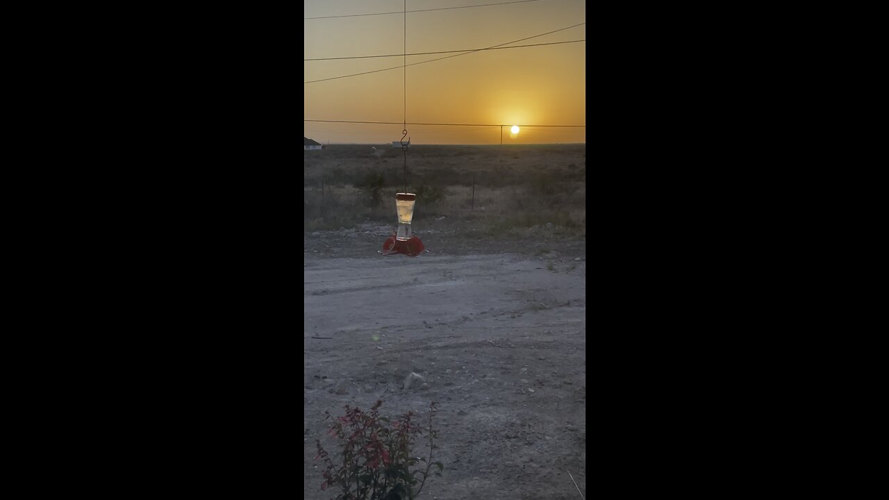 Hummingbirds and beautiful suset
