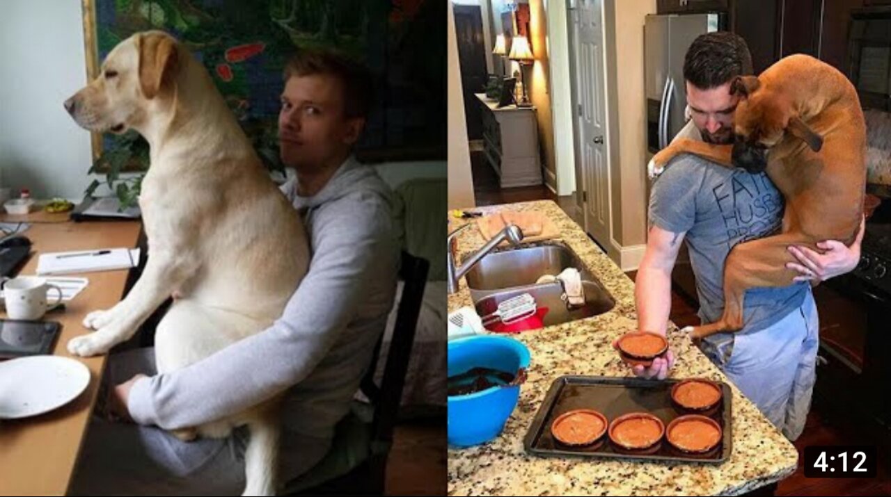 Sweet pup and his owner's dad are best friends