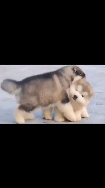 QUANDO SUA AMIGA TE CHAMA PRA FAZER ALGUMA COISA E VOCÊ NÃO QUER IR