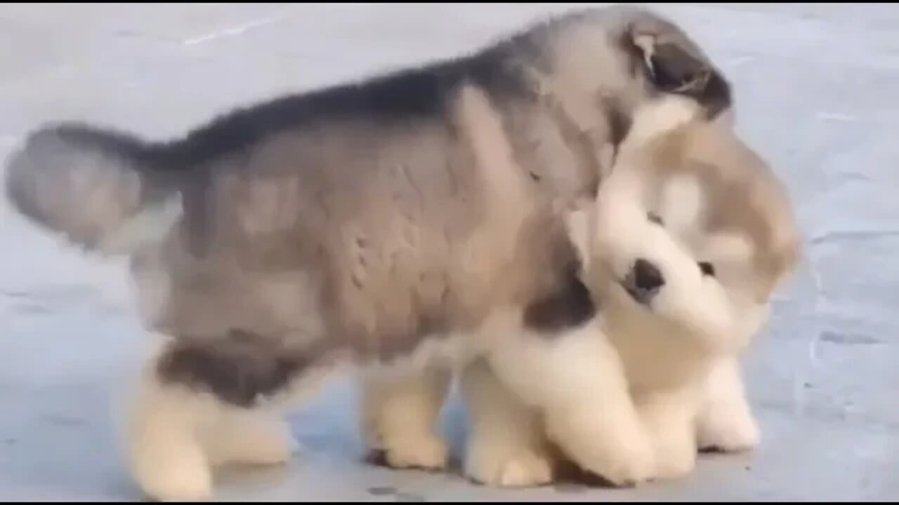 QUANDO SUA AMIGA TE CHAMA PRA FAZER ALGUMA COISA E VOCÊ NÃO QUER IR