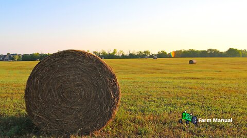 Farm | Good Land