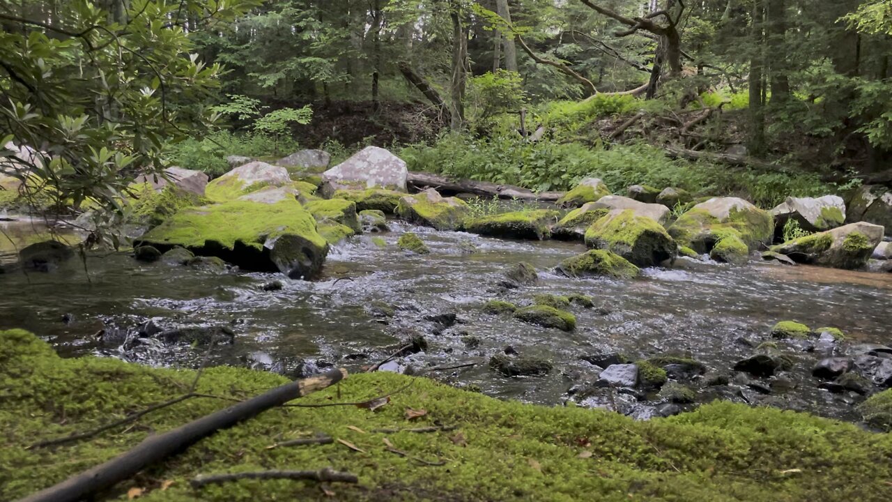 Creek waterfall