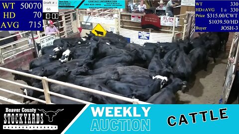 6/27/2023 - Beaver County Stockyards Livestock Auction