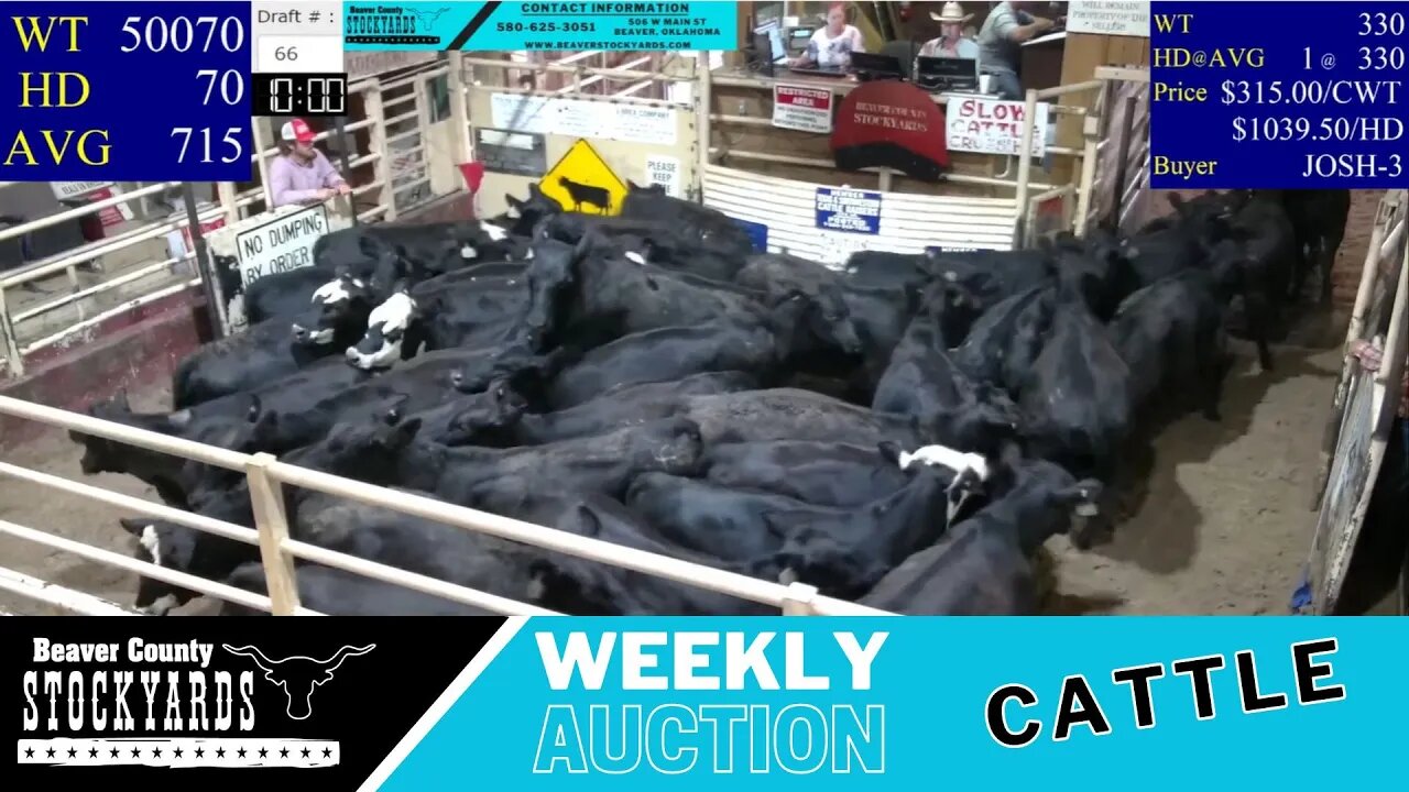 6/27/2023 - Beaver County Stockyards Livestock Auction