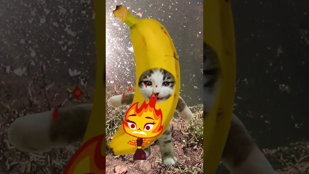 Elemental Angry Ember Hates Banana Cat! 🍌😽🔥