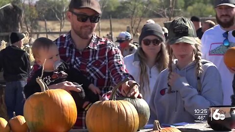 Agrotourism helps Twin Oaks Farm generate income and help families make memories