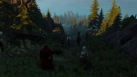 Witcher 3: Wild Hunt Live Gameplay 5