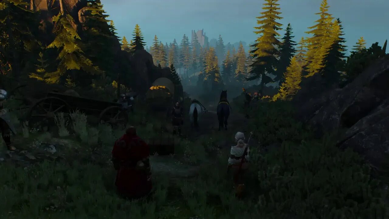 Witcher 3: Wild Hunt Live Gameplay 5
