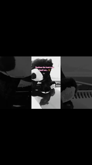 Barely... #ohhighbud #strangedanimal #cheaters #slayer