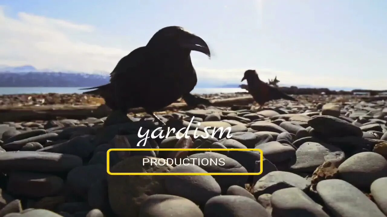 4/4 Challenge: Mixtape