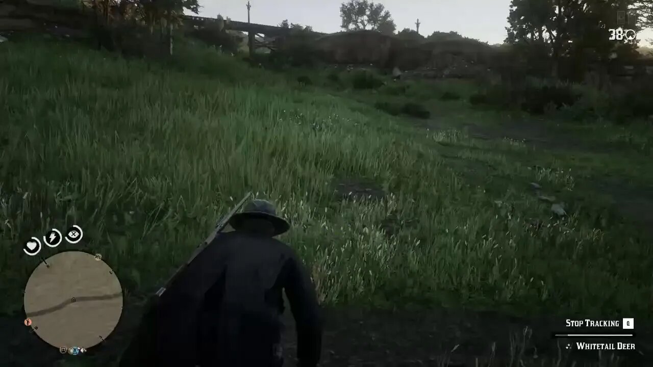 red dead redemption 2 test video