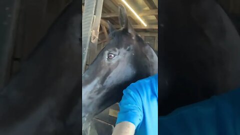 Couple of goofs
