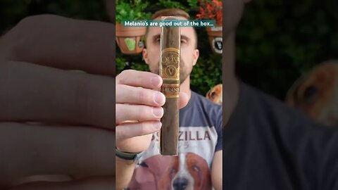 A cigar that gets even better with age! #cigar #cigars #luxury