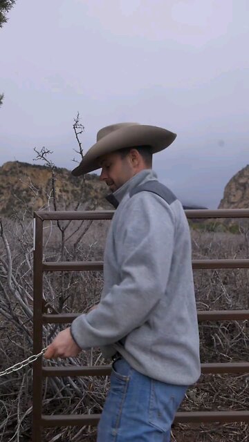 Valentine's day gift