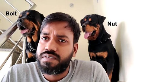 Aaj dono ko nahla ke rahunga || Mr.Bolt & Nut