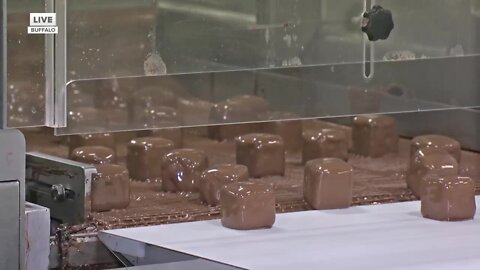 National Sponge Candy Day in Buffalo