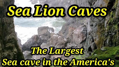 Sea Lion Caves America's Largest Sea Cave, Florence, Oregon.