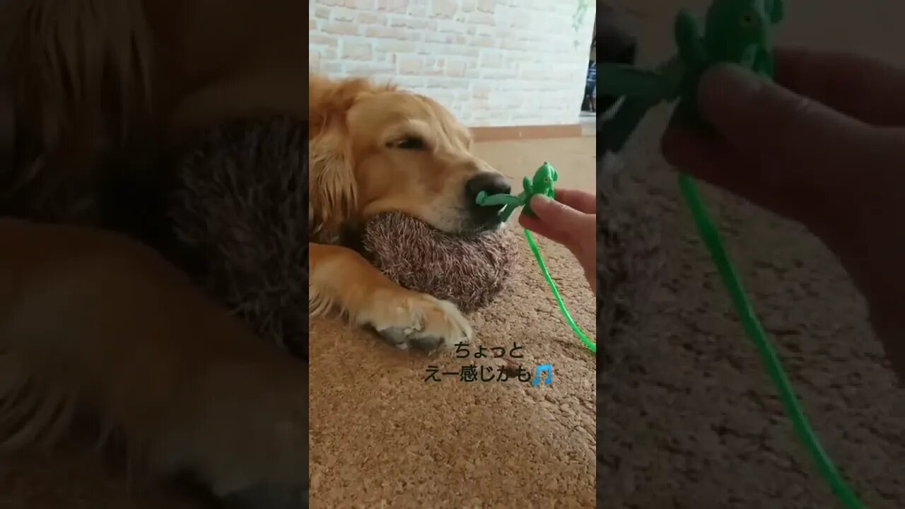 Cute