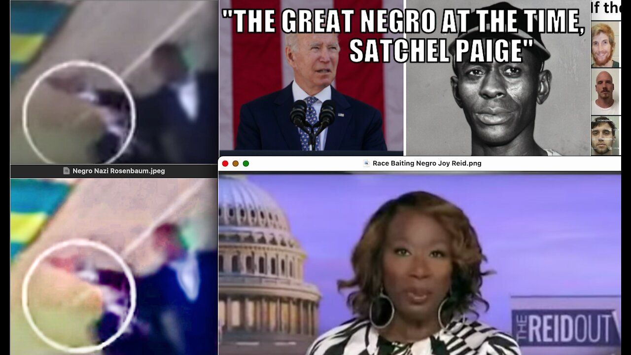 Negro Nazi Salute MSNBC Joy Reid CNN Don Lemon Ignore Black Jew Hate During Kyle Rittenhouse Trial