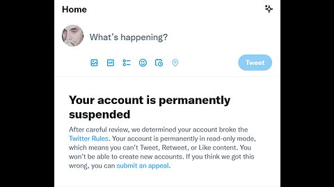 Banned again from twitter: Elon We need to talk I think lol