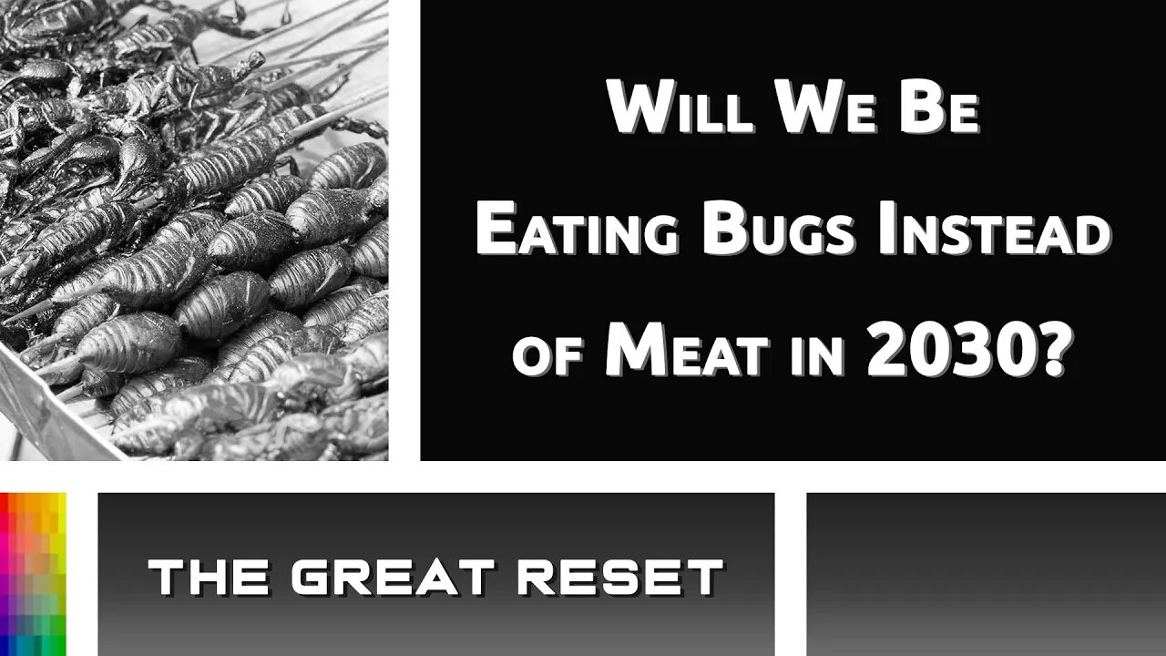 [The Great Reset] Will We Be Eating Bugs Instead of Meat in 2030?